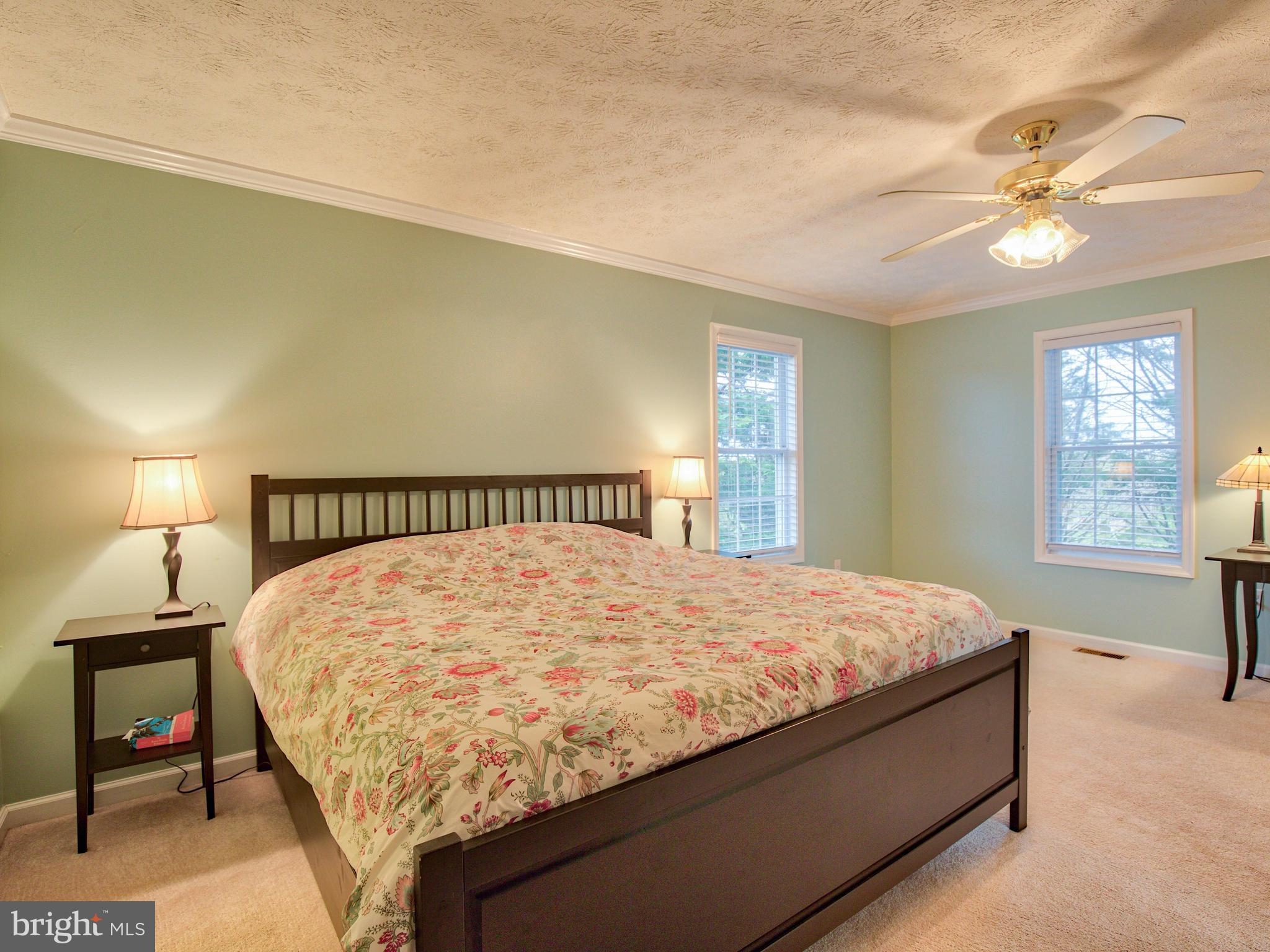 3653 Shepherds Mill Road Berryville, VA 22611 - Photo 29 of 40 Master bedroom