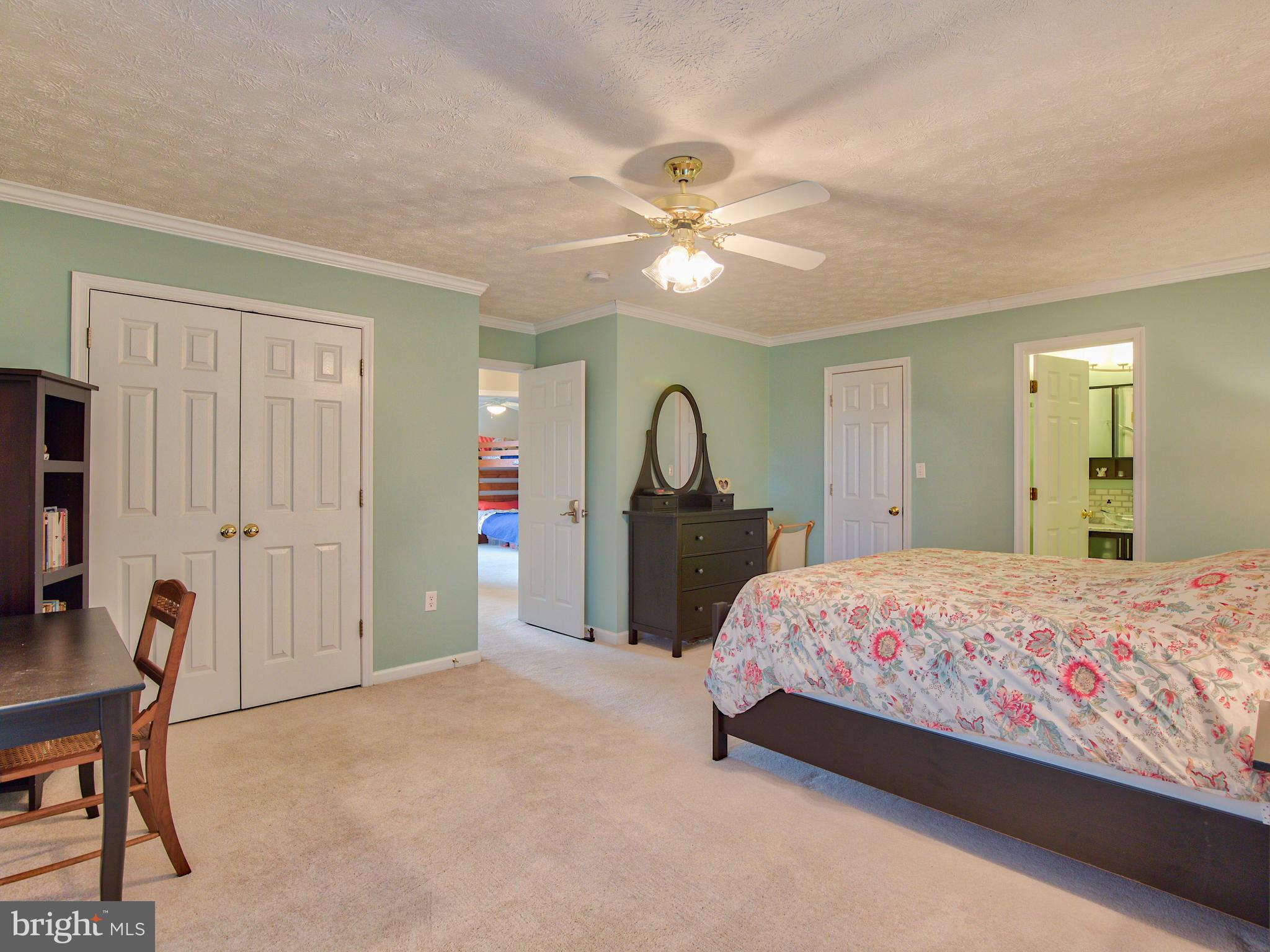 3653 Shepherds Mill Road Berryville, VA 22611 - Photo 30 of 40 Master bedroom