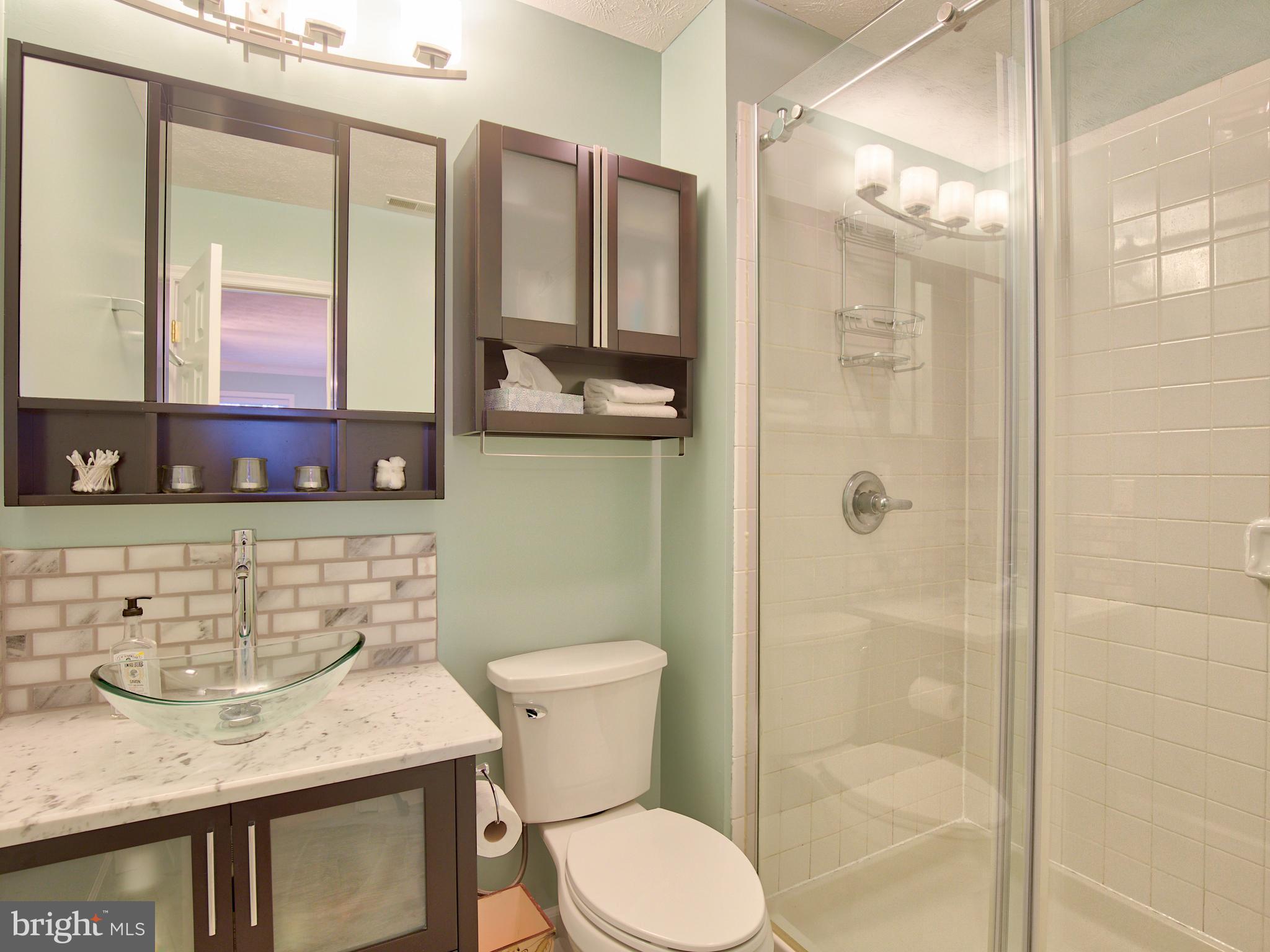 3653 Shepherds Mill Road Berryville, VA 22611 - Photo 31 of 40 Master bathroom recently remodeled!