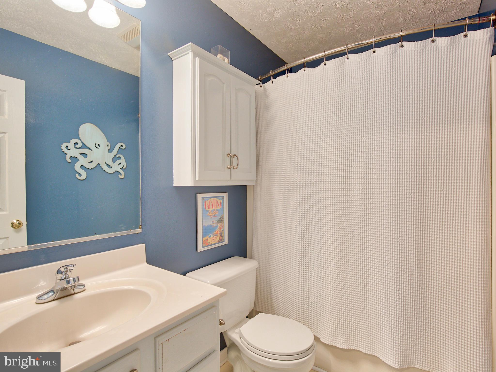 3653 Shepherds Mill Road Berryville, VA 22611 - Photo 35 of 40 Hall Bath