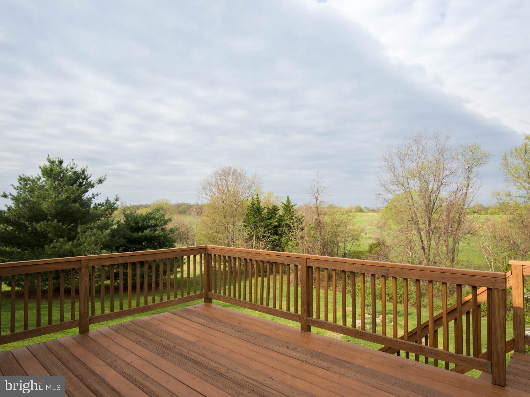 3653 Shepherds Mill Road Berryville, VA 22611 - Photo 6 of 40 The view from the deck is exceptional!