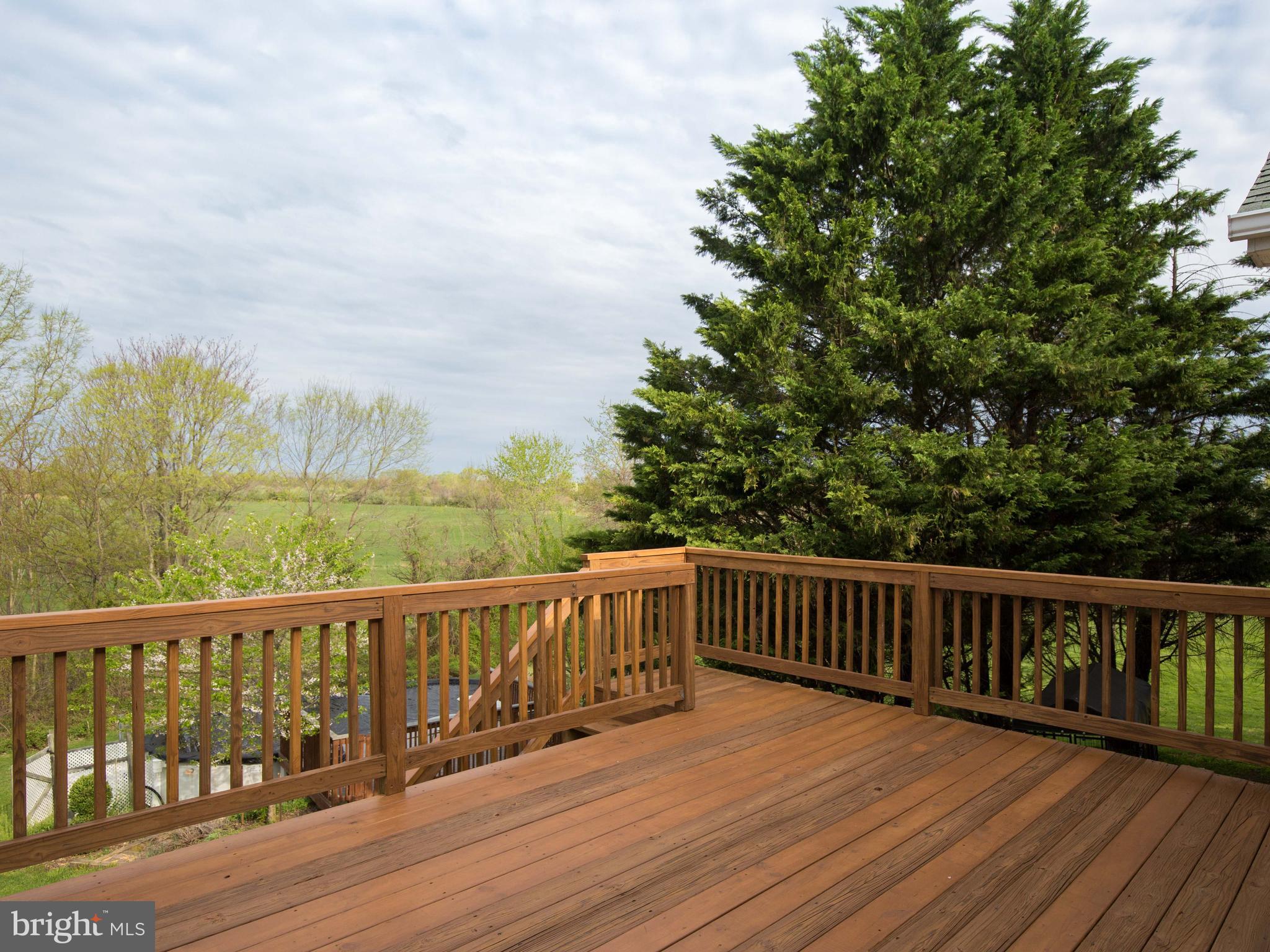 3653 Shepherds Mill Road Berryville, VA 22611 - Photo 7 of 40 View from deck