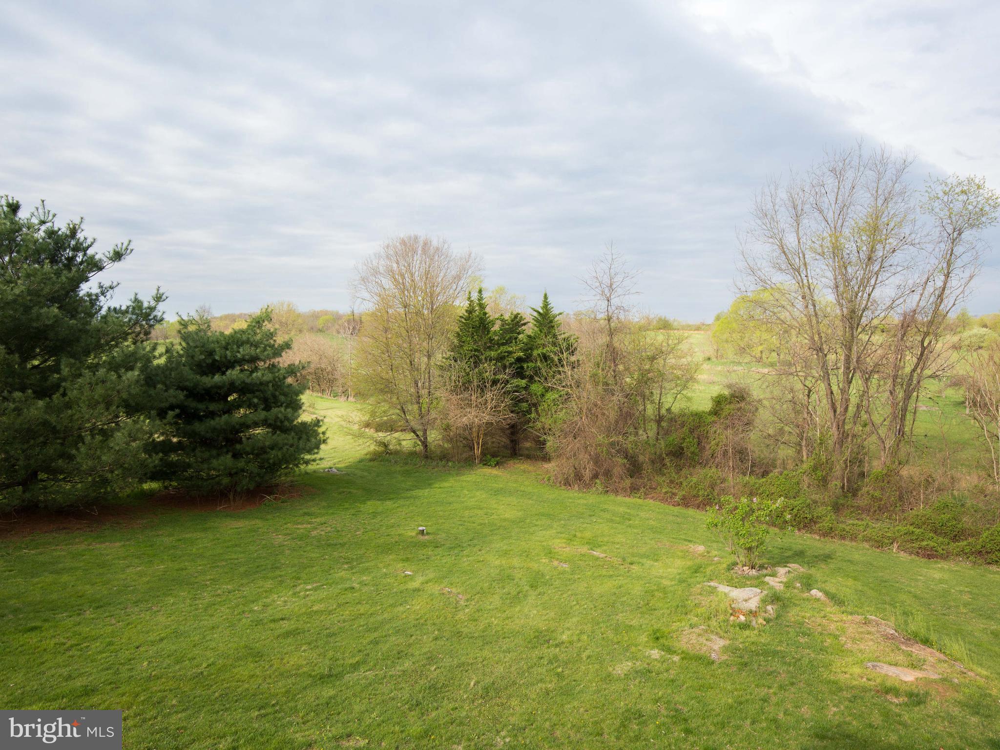 3653 Shepherds Mill Road Berryville, VA 22611 - Photo 8 of 40 Large private back yard extends past tree line