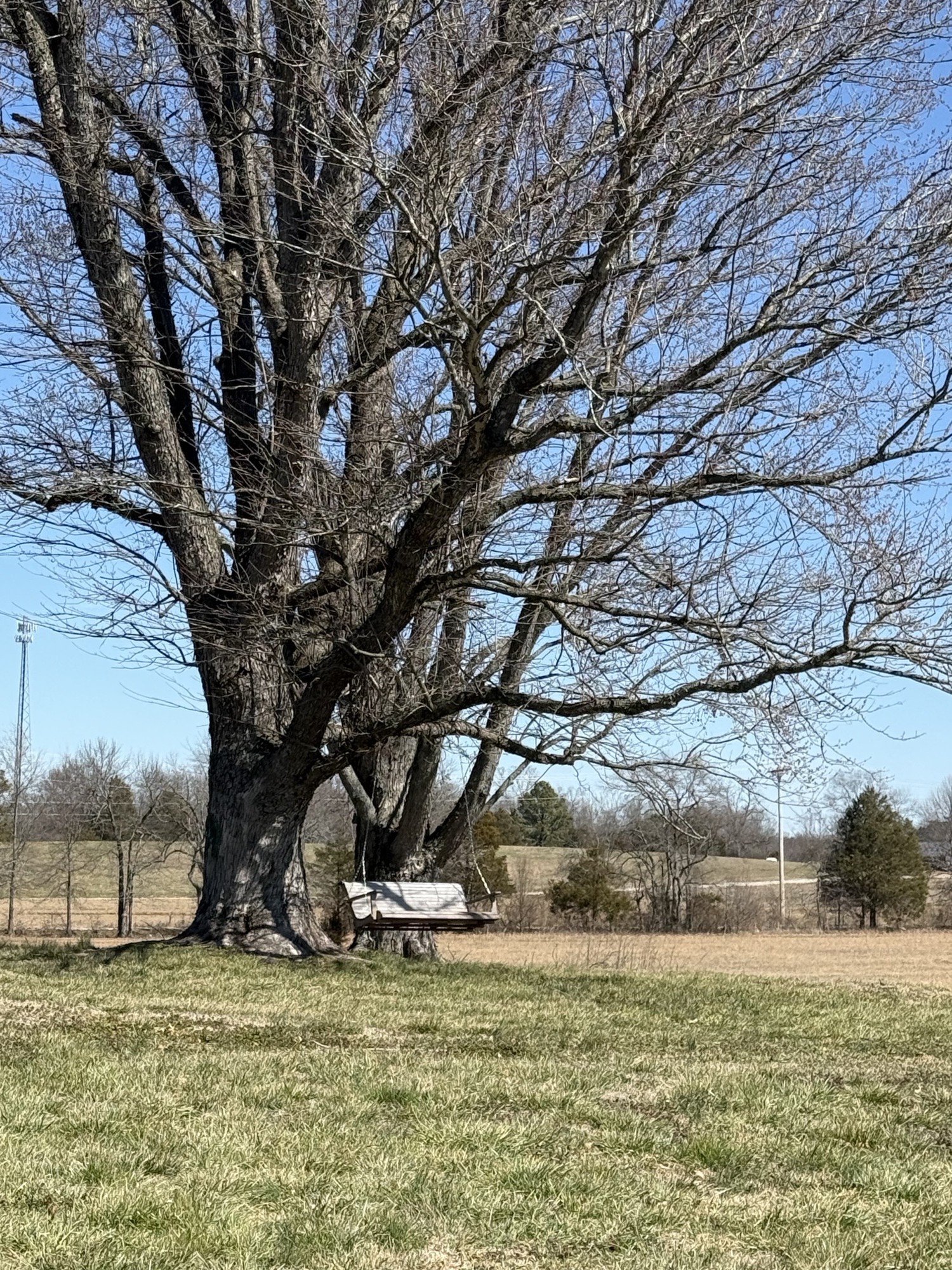 415 Viola Road McMinnville, TN 37110 - Photo 44 of 53