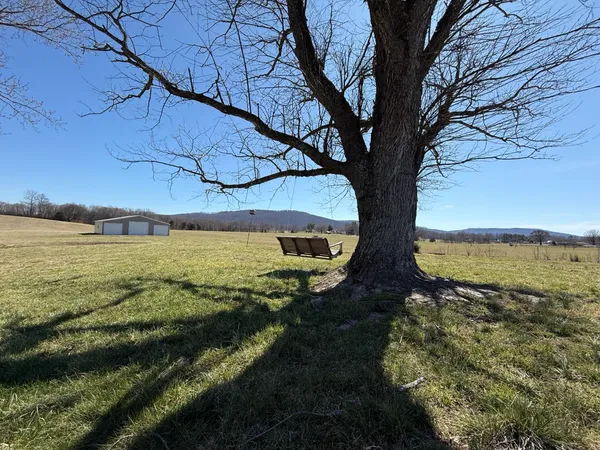 a view of a backyard of the house