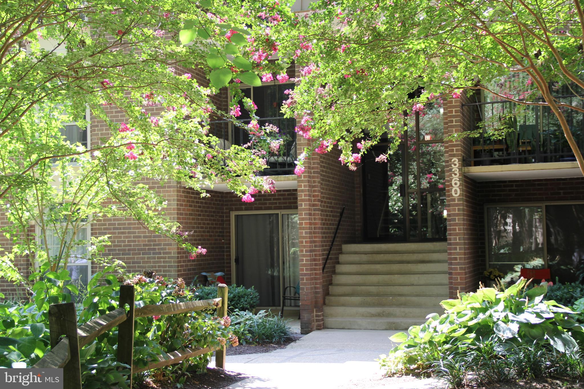 3360 Woodburn Road, Unit 23 Annandale, VA 22003 - Photo 3 of 50 a house with a tree in front