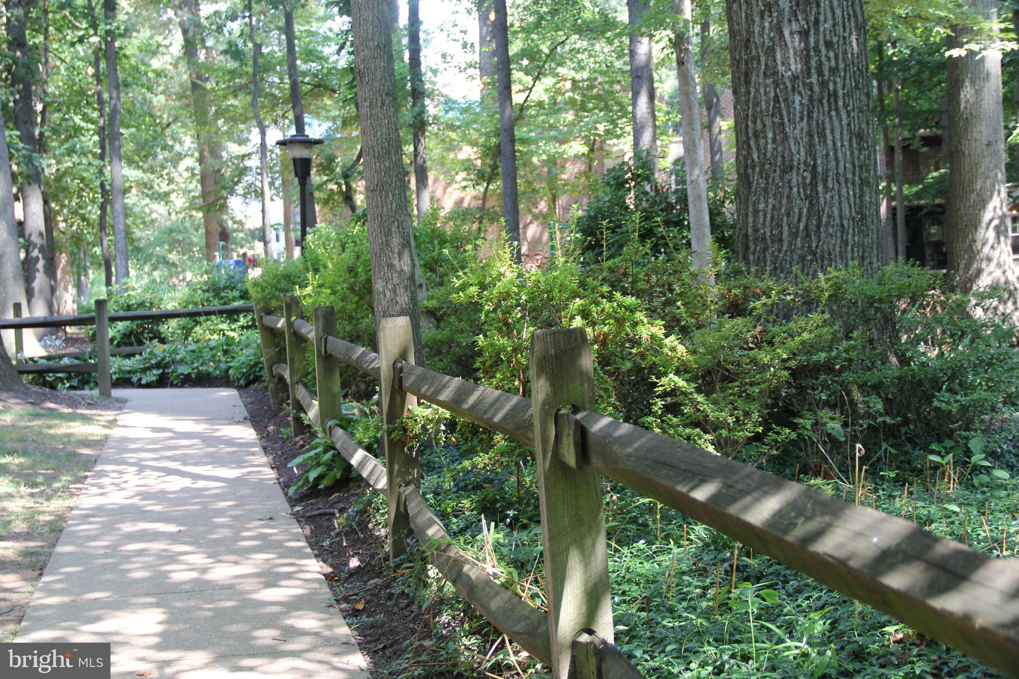 3360 Woodburn Road, Unit 23 Annandale, VA 22003 - Photo 41 of 50 a view of a garden with plants
