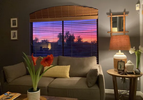 a couch sitting in front of a house