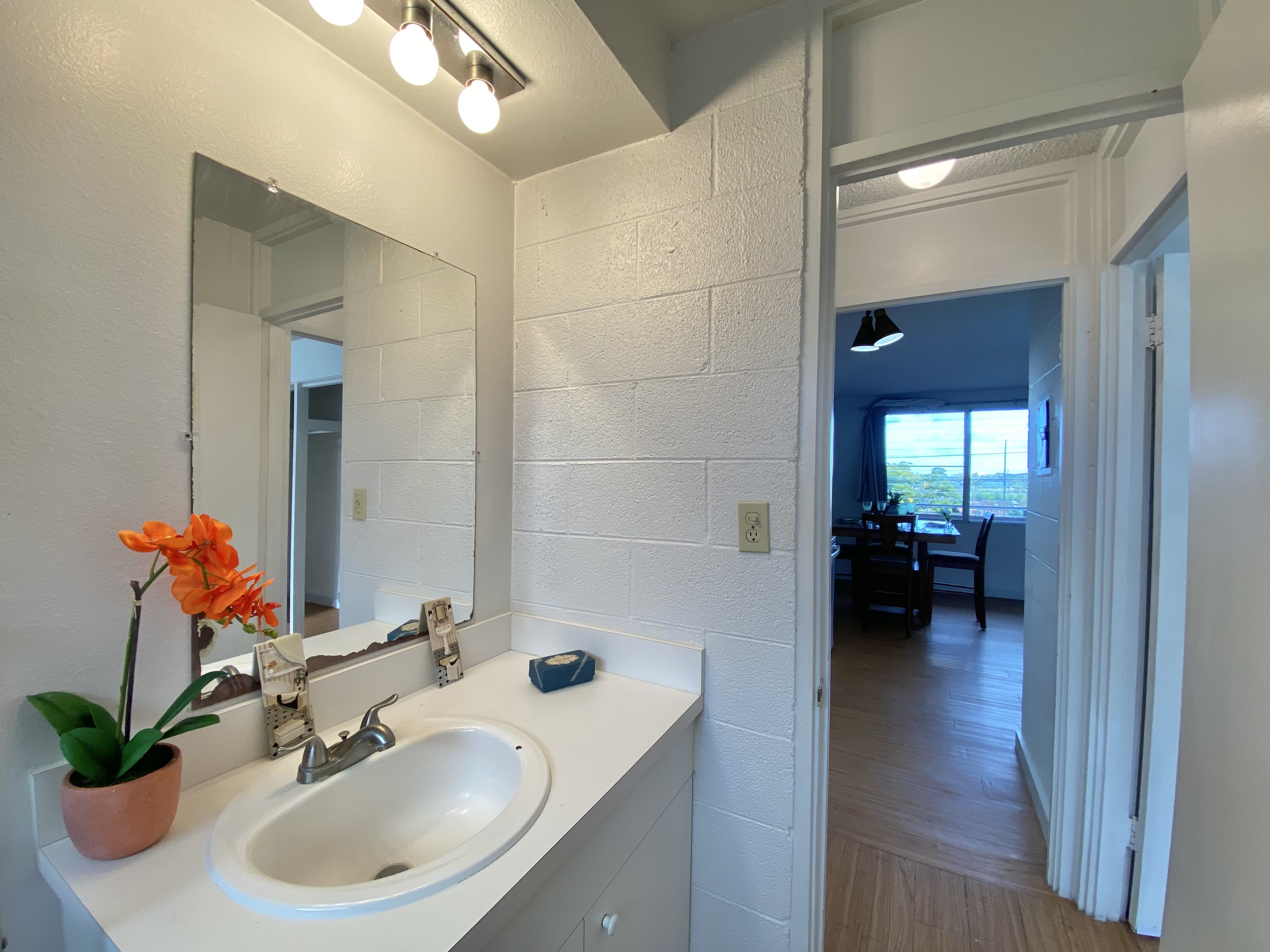 270 Ululani Street, Unit 27 Hilo, HI 96720 - Photo 14 of 19 a bathroom with a sink and a mirror