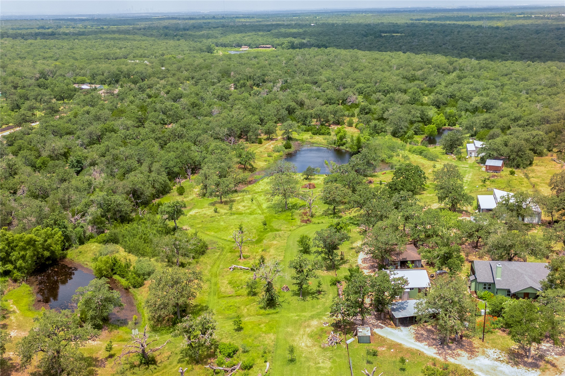 270 Dry Creek Road Manor, TX 78653 - Photo 3 of 40 Discover a peaceful rural retreat featuring multiple ponds and lush, mature trees.