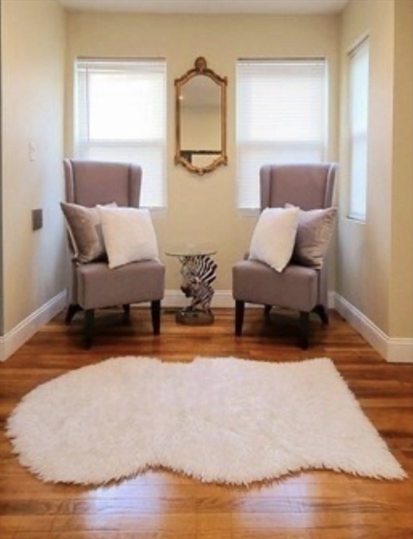 7 Jaques Street, Unit 1 Somerville, MA 02145 - Photo 3 of 7