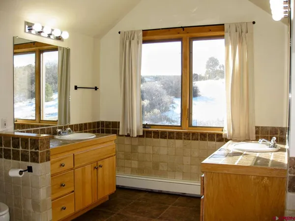 a bathroom with a sink and a shower
