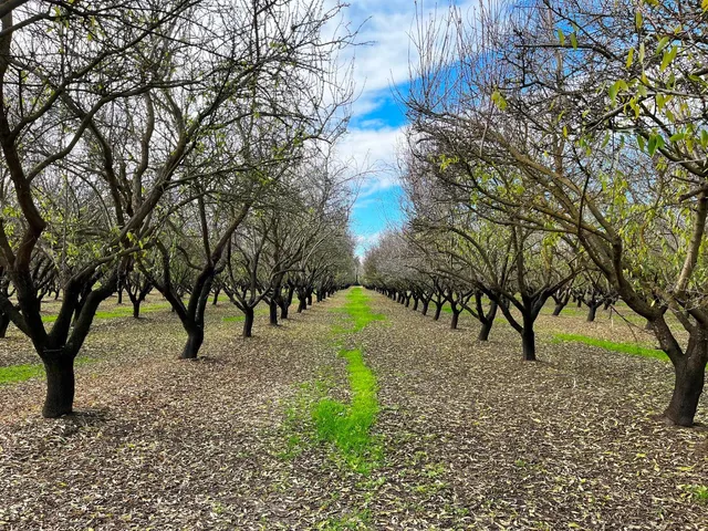 a view of an ocean and beach