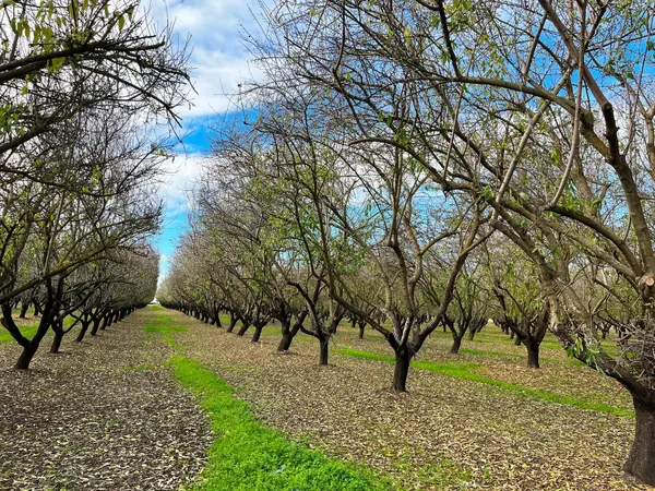 a white house with a yard and sitting area