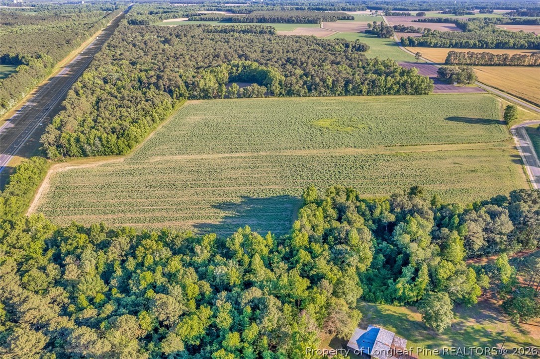 0 Pope Wray (lot 2) Road Turkey, NC 28393 - Photo 10 of 22 a view of a garden