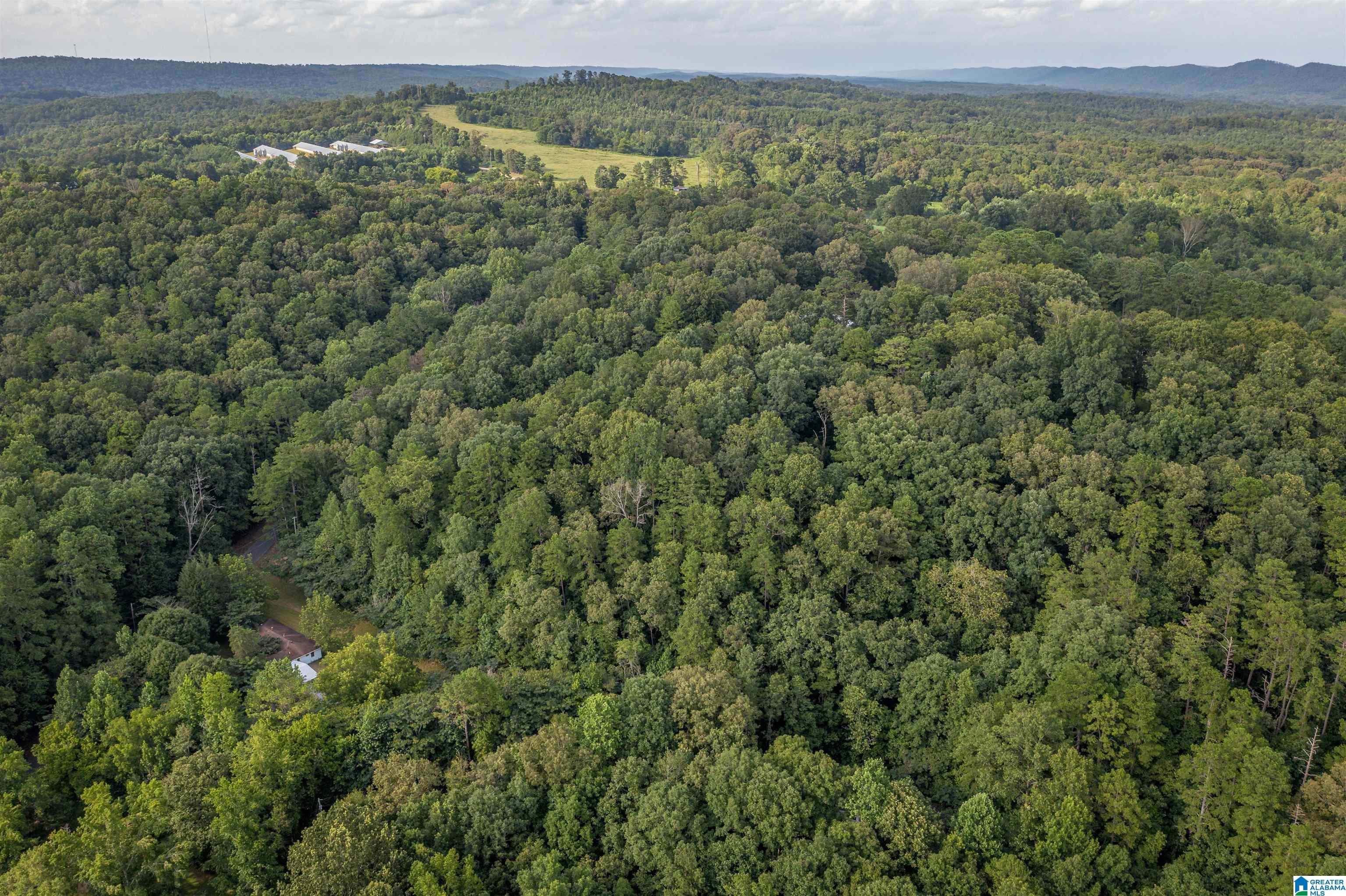 160 Mill Hill Road Attalla, AL 35954 - Photo 6 of 26