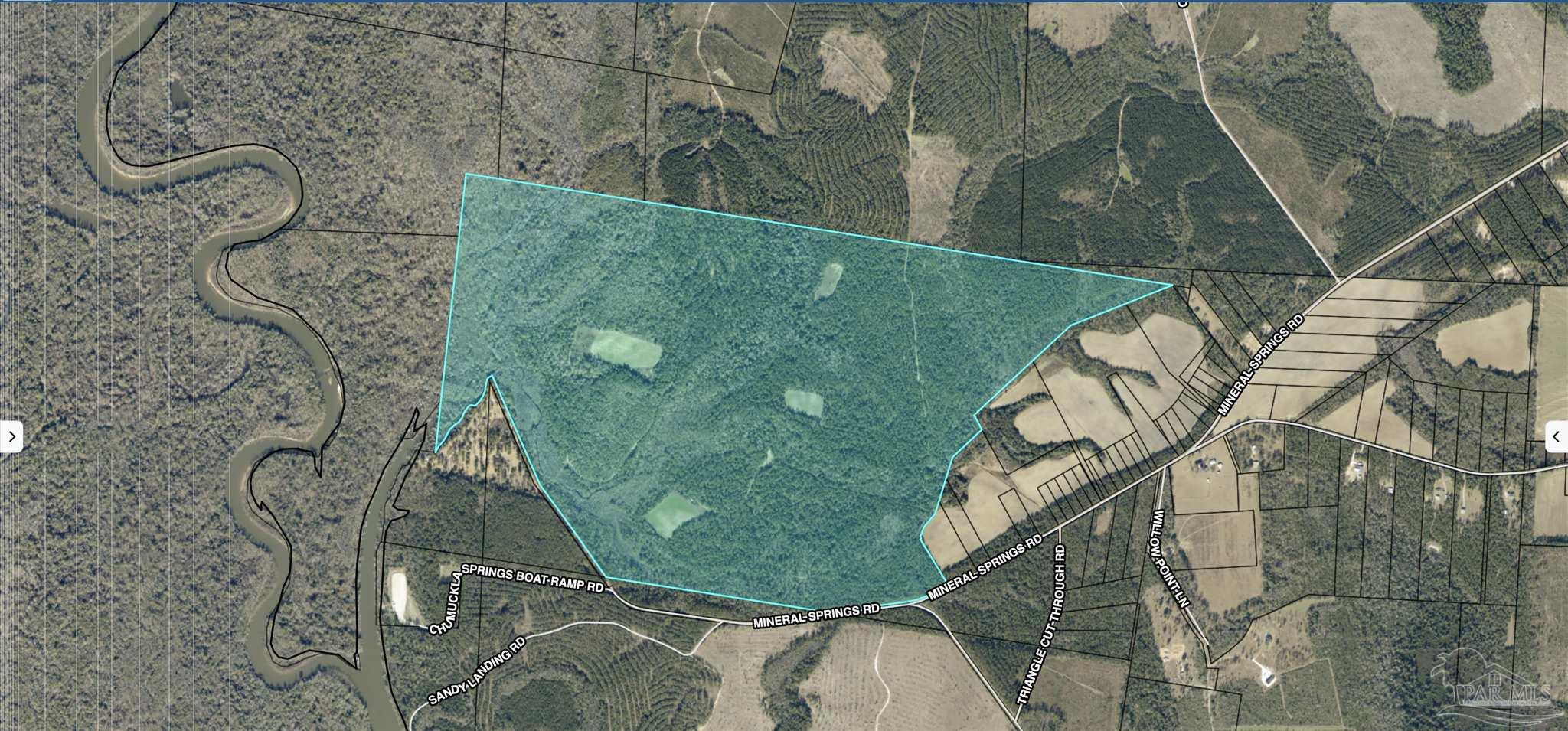 453 Mineral Springs Road Jay, FL 32565 - Photo 11 of 11