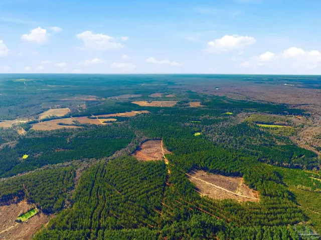 $3,850,000 | 453 Mineral Springs Road, Jay, FL 32565