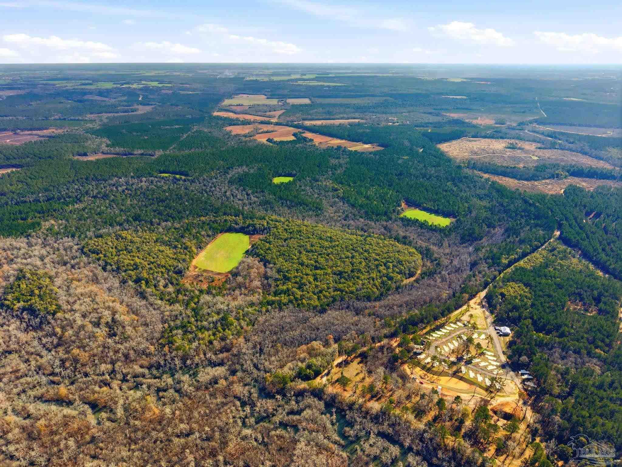 453 Mineral Springs Road Jay, FL 32565 - Photo 8 of 11