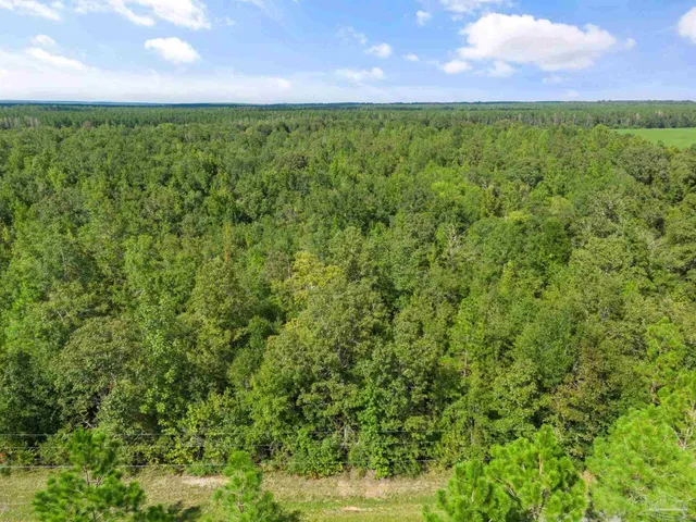 $3,850,000 | 453 Mineral Springs Road, Jay, FL 32565