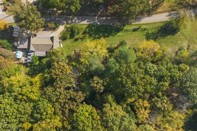 a view of a forest with an outdoor space