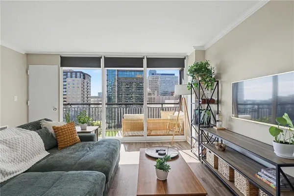 a living room with furniture and a potted plant