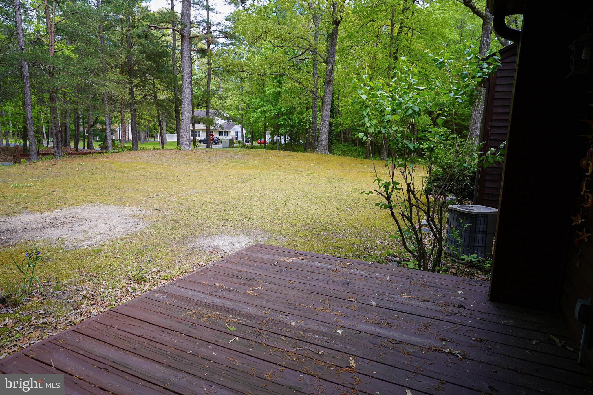31914 Downing Road Delmar, MD 21875 - Photo 43 of 47 Gallery Image 43