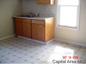 1228 North 4th Street Springfield, IL 62702 - Photo 4 of 9