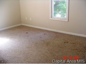 1228 North 4th Street Springfield, IL 62702 - Photo 8 of 9