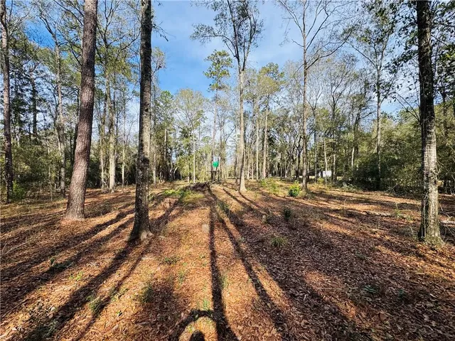 $158,000 | 79789 North Willie Road, Folsom, LA 70437