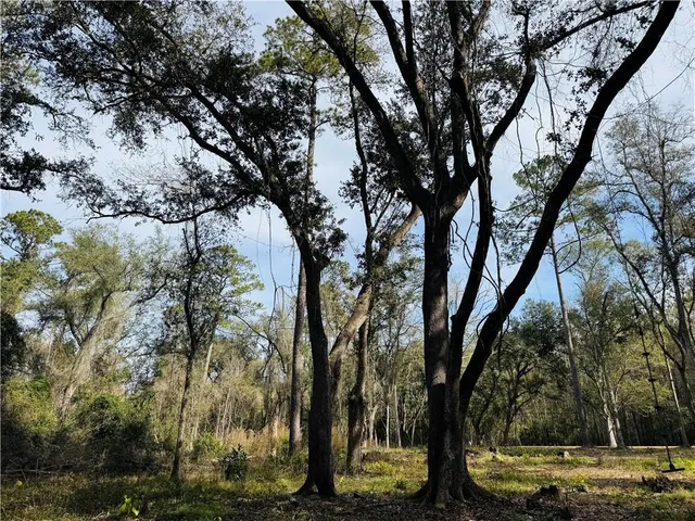 $158,000 | 79789 North Willie Road, Folsom, LA 70437