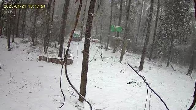 $158,000 | 79789 North Willie Road, Folsom, LA 70437