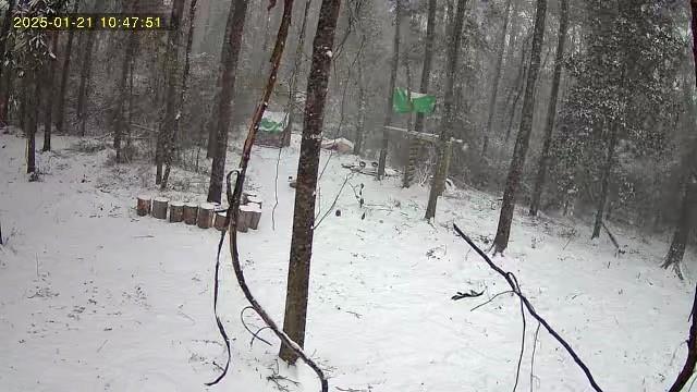 79789 North Willie Road Folsom, LA 70437 - Photo 13 of 16