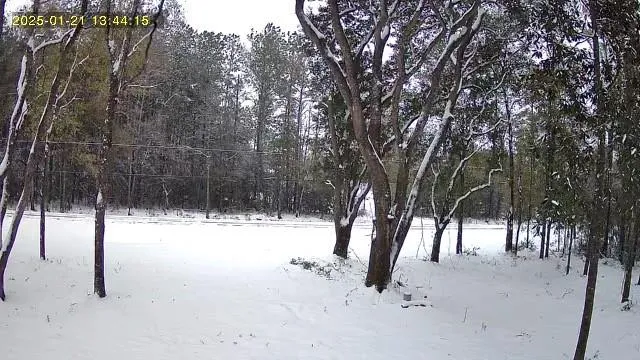 $158,000 | 79789 North Willie Road, Folsom, LA 70437