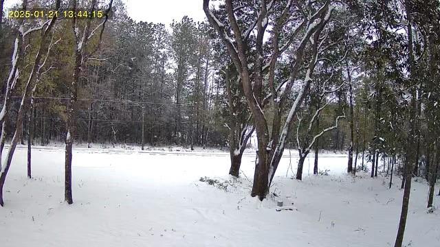 79789 North Willie Road Folsom, LA 70437 - Photo 14 of 16