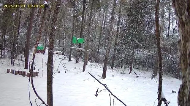 $158,000 | 79789 North Willie Road, Folsom, LA 70437