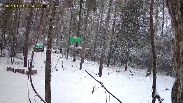 79789 North Willie Road Folsom, LA 70437 - Photo 15 of 16