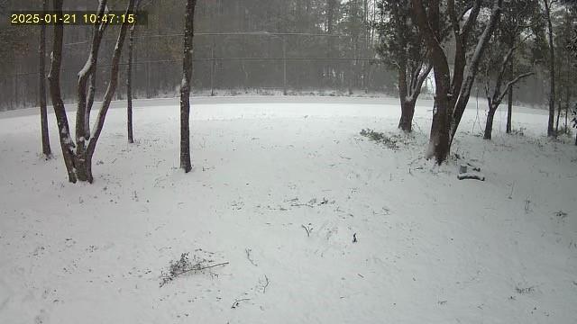 79789 North Willie Road Folsom, LA 70437 - Photo 16 of 16