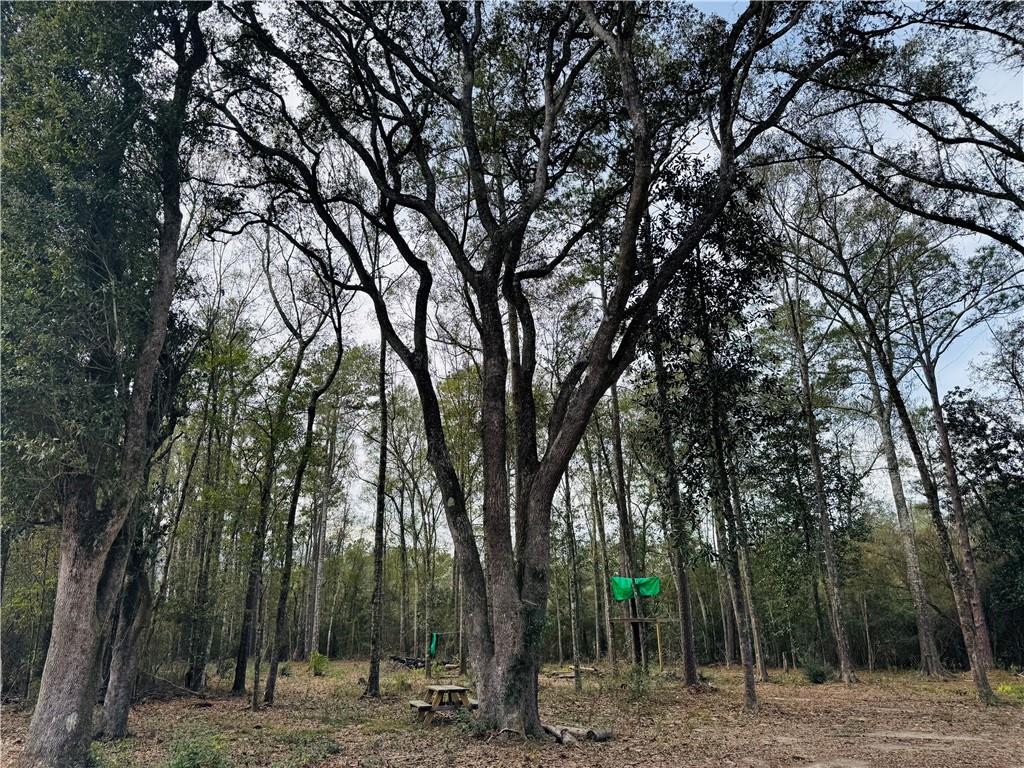 79789 North Willie Road Folsom, LA 70437 - Photo 2 of 16