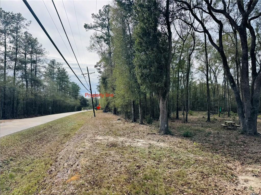 79789 North Willie Road Folsom, LA 70437 - Photo 3 of 16