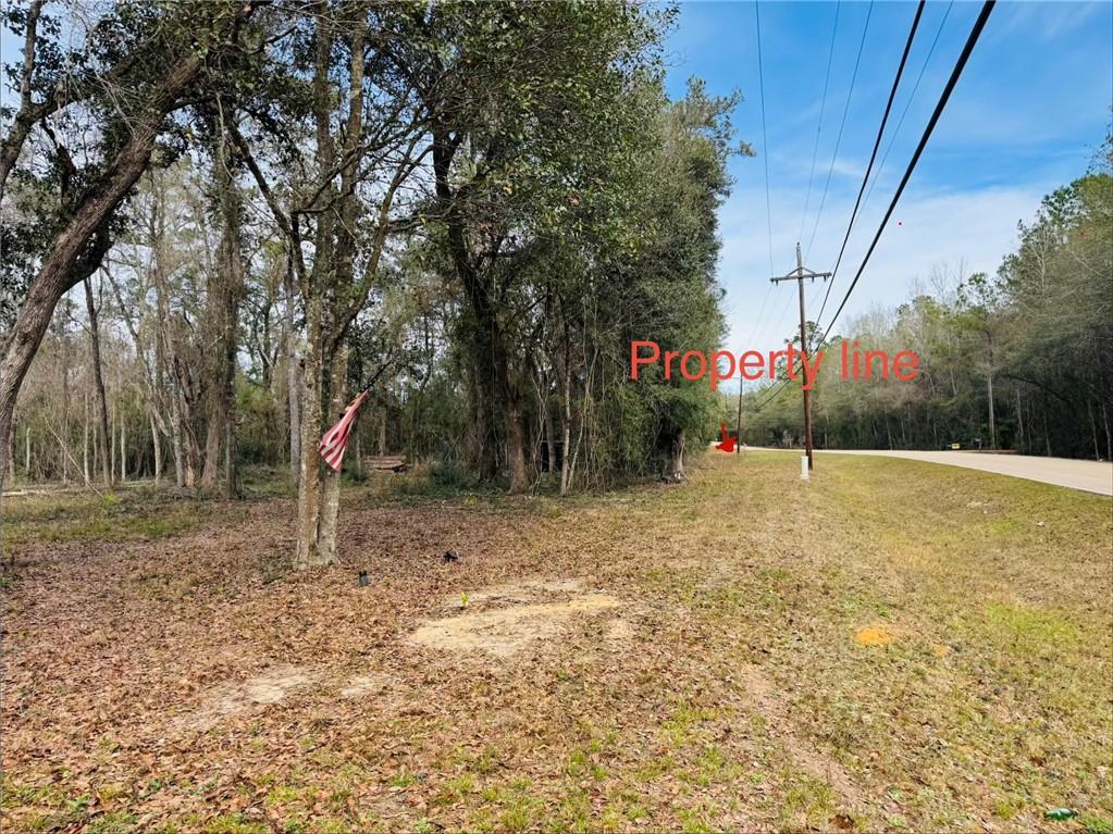 79789 North Willie Road Folsom, LA 70437 - Photo 4 of 16