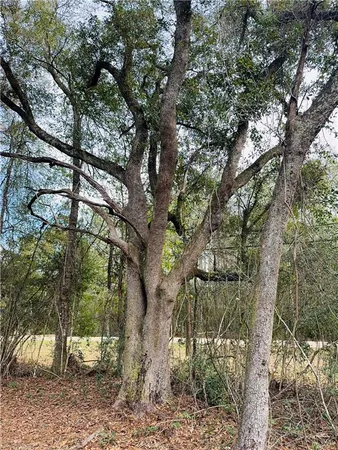 $150,000 | 79789 North Willie Road, Folsom, LA 70437