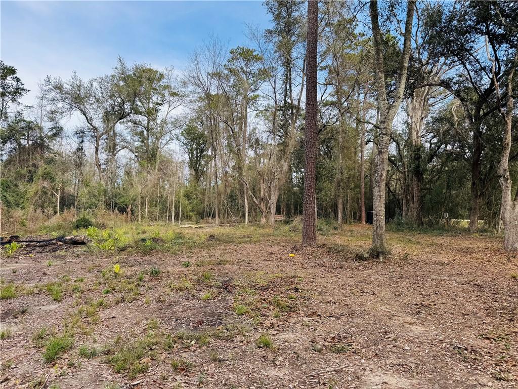 79789 North Willie Road Folsom, LA 70437 - Photo 6 of 16