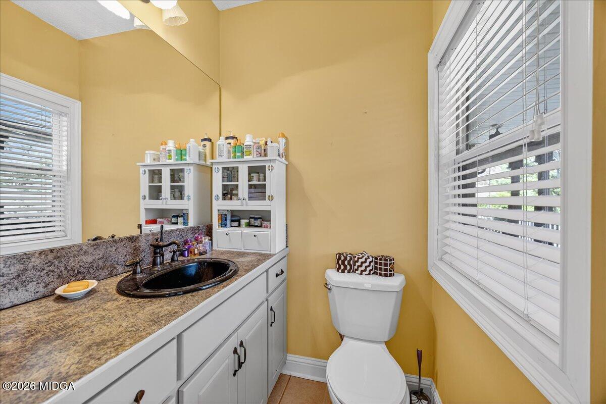 518 River Overlook Forsyth, GA 31029 - Photo 54 of 96 a bathroom with a sink a toilet and shower