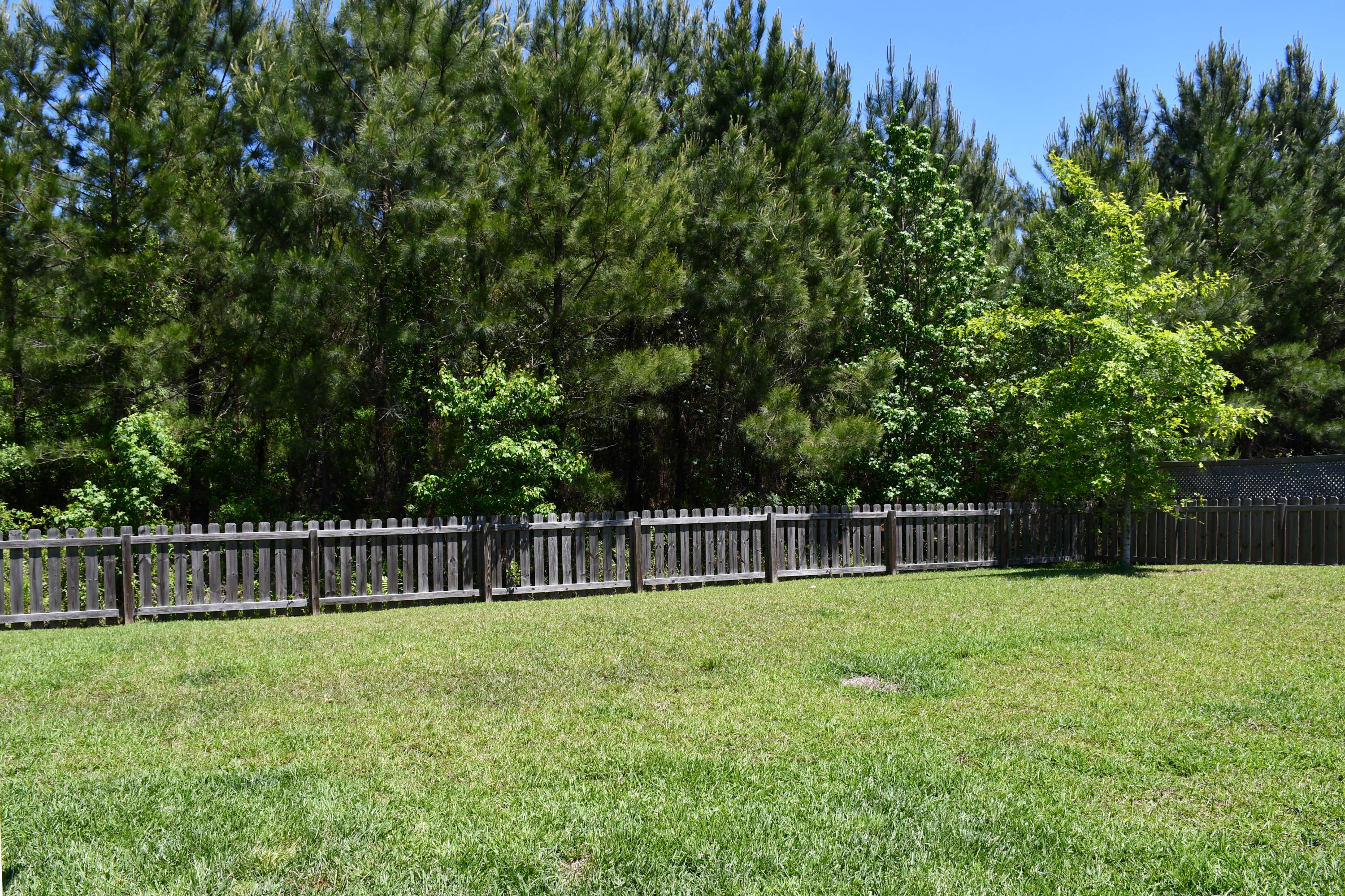 419 Spectrum Road Summerville, SC 29486 - Photo 3 of 36 DSC_1359
