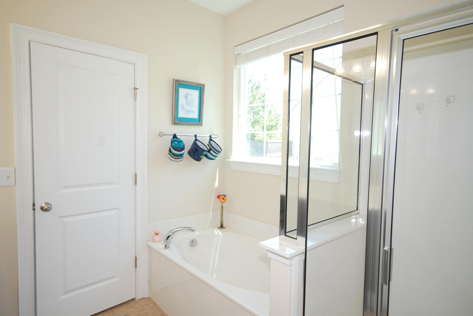 419 Spectrum Road Summerville, SC 29486 - Photo 24 of 36 DSC_7928