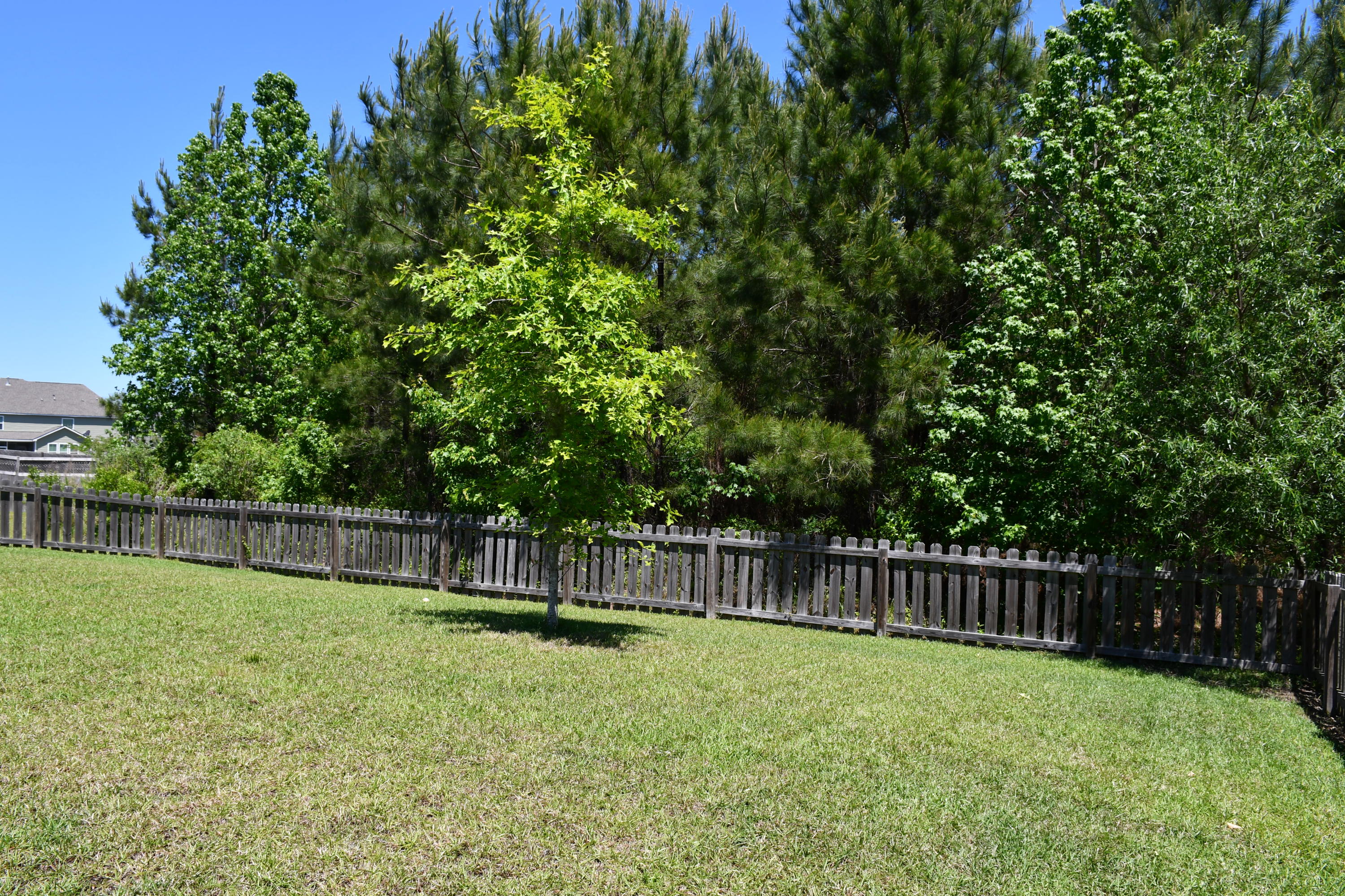 419 Spectrum Road Summerville, SC 29486 - Photo 4 of 36 DSC_1361