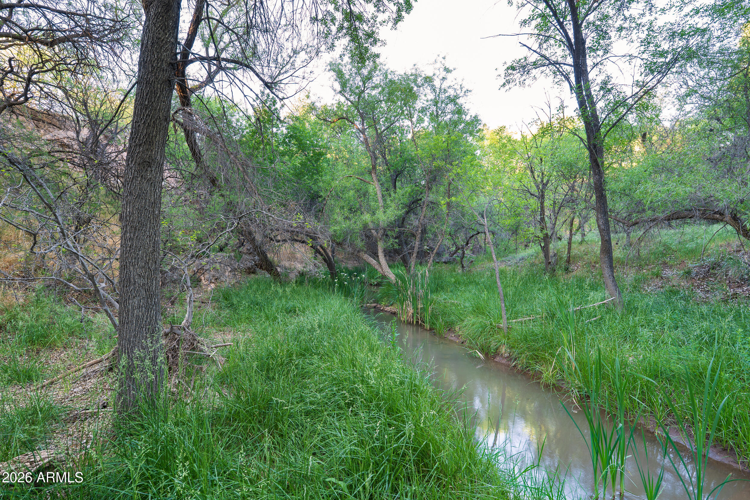 796 North Aspaas Road Cornville, AZ 86325 - Photo 1 of 25 a view of a lush green forest with lots of trees