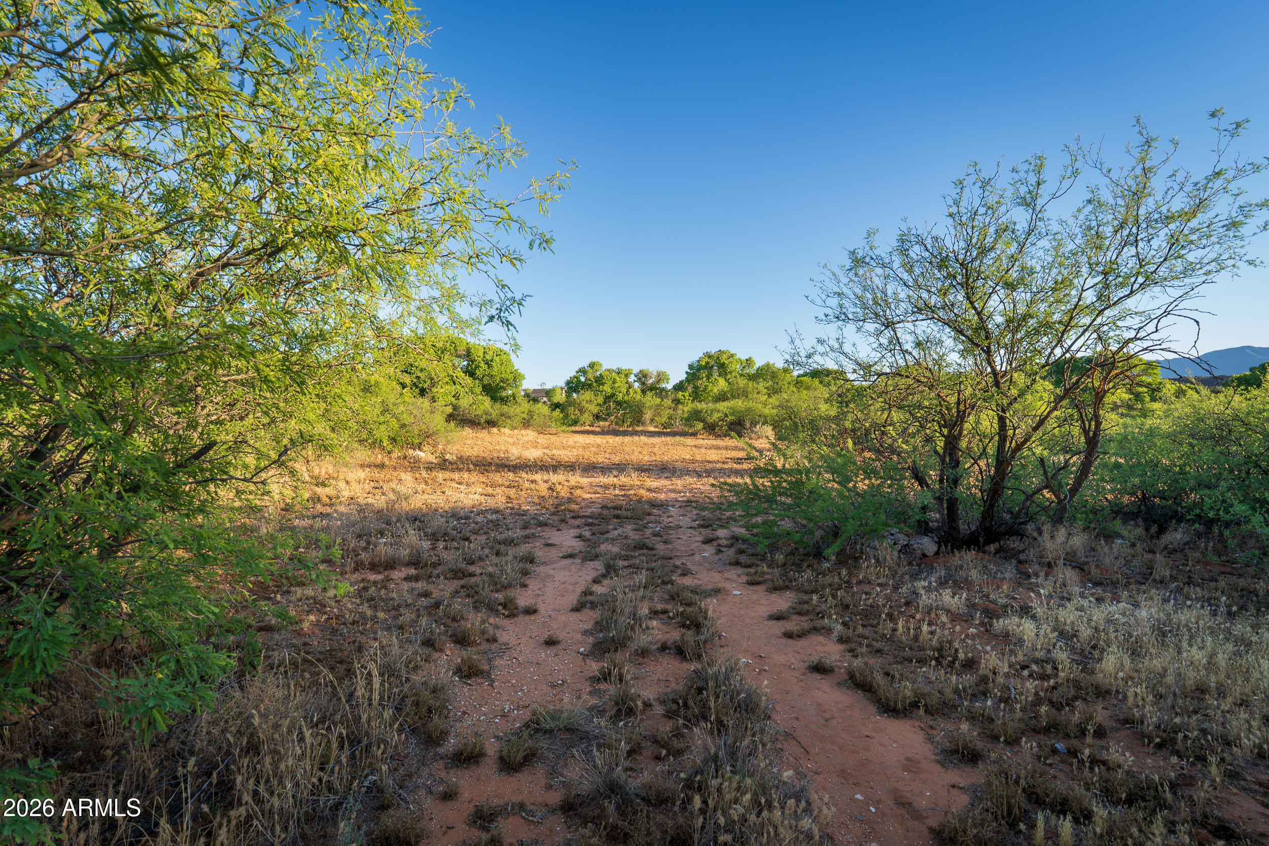 796 North Aspaas Road Cornville, AZ 86325 - Photo 18 of 25 a view of a yard with a tree