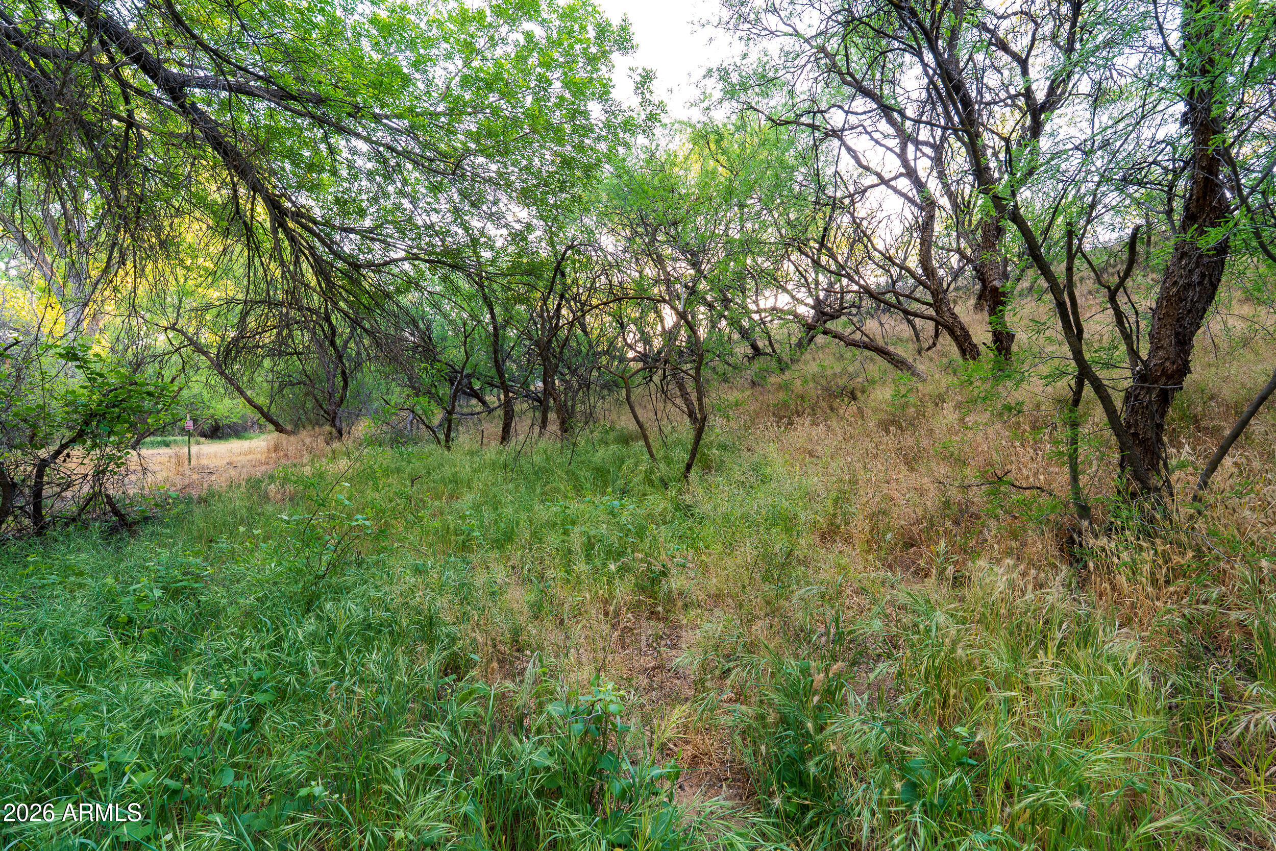 796 North Aspaas Road Cornville, AZ 86325 - Photo 25 of 25 a big yard with lots of green space and deers